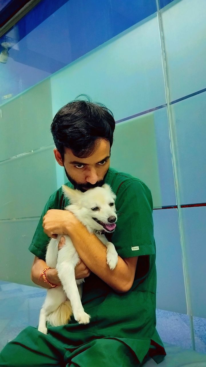 Pet Care